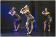 Harmonie-Sint-Amands-Dansconcert-ism-danssturdio-Flash-Luc-Gosselin--12212024-91